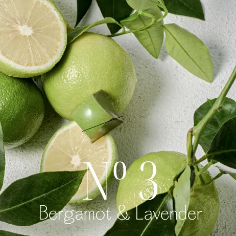 Bergamot & Lavender