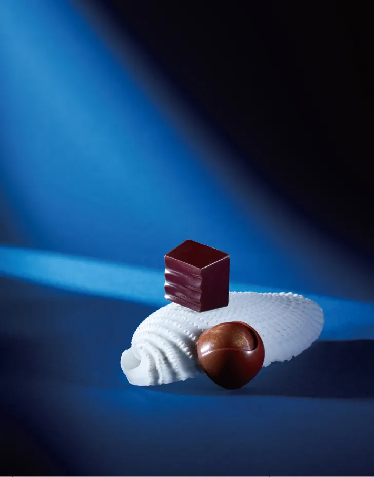 australian selectionイメージ5