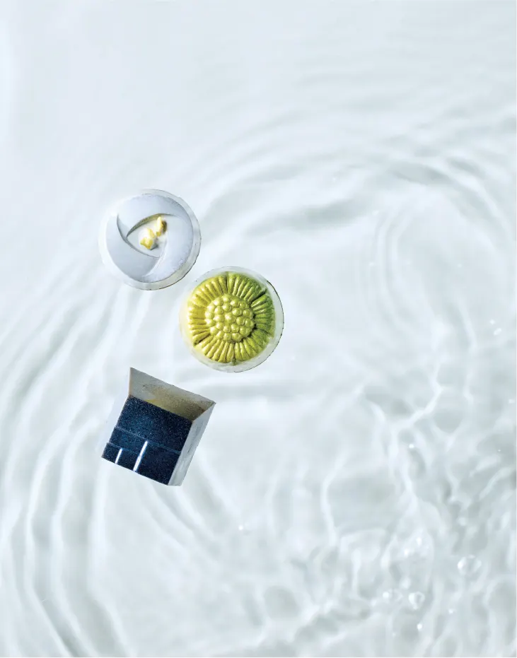 australian selectionイメージ3