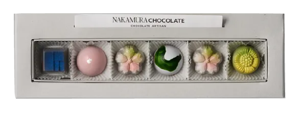 6個入りボックス